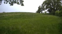 The field cam, May 24, 2023 at 11:49am
