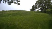 The field cam, May 24, 2023 at 11:50am