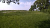 The field cam, May 25, 2023 at 7:02am