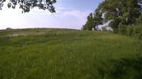 The field cam, May 25, 2023 at 7:11am