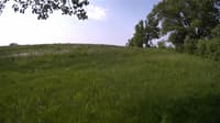 The field cam, May 25, 2023 at 7:54am