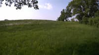 The field cam, May 25, 2023 at 7:59am