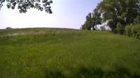 The field cam, May 25, 2023 at 8:49am