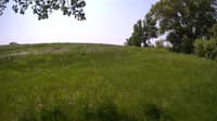 The field cam, May 25, 2023 at 9:43am