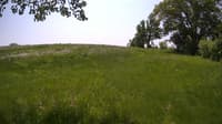 The field cam, May 25, 2023 at 10:32am