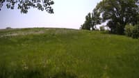 The field cam, May 25, 2023 at 10:48am