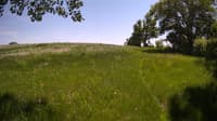 The field cam, May 26, 2023 at 12:06pm
