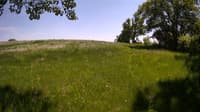 The field cam, May 26, 2023 at 12:15pm