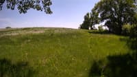 The field cam, May 26, 2023 at 12:16pm