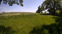 The field cam, May 26, 2023 at 12:27pm