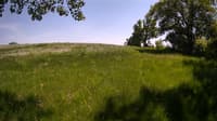 The field cam, May 26, 2023 at 12:30pm