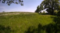 The field cam, May 26, 2023 at 12:30pm