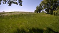 The field cam, May 27, 2023 at 8:55am