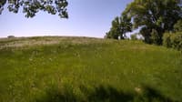 The field cam, May 27, 2023 at 9:01am