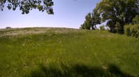 The field cam, May 27, 2023 at 9:08am
