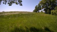 The field cam, May 27, 2023 at 9:09am