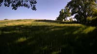 The field cam, May 27, 2023 at 3:06pm