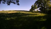 The field cam, May 27, 2023 at 3:40pm
