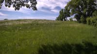 The field cam, May 28, 2023 at 8:19am