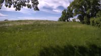 The field cam, May 28, 2023 at 8:21am