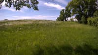 The field cam, May 28, 2023 at 8:36am