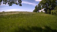 The field cam, May 28, 2023 at 8:52am