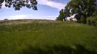 The field cam, May 28, 2023 at 8:58am
