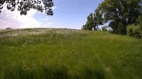 The field cam, May 29, 2023 at 9:55am