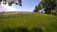 The field cam, May 29, 2023 at 9:56am