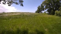 The field cam, May 29, 2023 at 10:01am