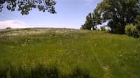 The field cam, May 29, 2023 at 10:24am