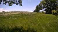 The field cam, May 29, 2023 at 10:28am