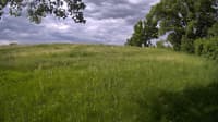 The field cam, May 30, 2023 at 7:03am