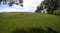The field cam, May 30, 2023 at 8:59am