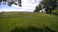 The field cam, May 30, 2023 at 9:01am