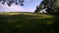 The field cam, May 30, 2023 at 3:42pm