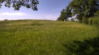 The field cam, May 31, 2023 at 6:59am