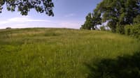 The field cam, May 31, 2023 at 7:07am