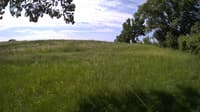 The field cam, May 31, 2023 at 8:10am