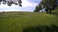 The field cam, May 31, 2023 at 8:13am