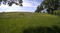 The field cam, May 31, 2023 at 8:18am