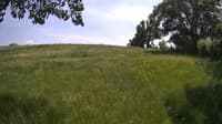 The field cam, May 31, 2023 at 12:10pm