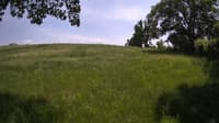 The field cam, May 31, 2023 at 12:11pm