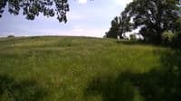 The field cam, May 31, 2023 at 12:30pm