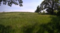 The field cam, May 31, 2023 at 12:36pm