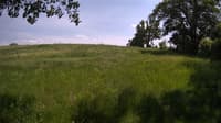 The field cam, May 31, 2023 at 12:39pm