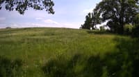 The field cam, May 31, 2023 at 12:43pm