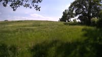 The field cam, May 31, 2023 at 12:44pm