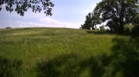 The field cam, May 31, 2023 at 12:45pm