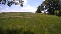 The field cam, Jun 1, 2023 at 10:43am